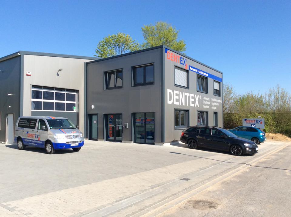 Dentex_Hauptbild
